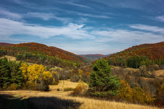 Nowa aktualność z ostatniej chwili
